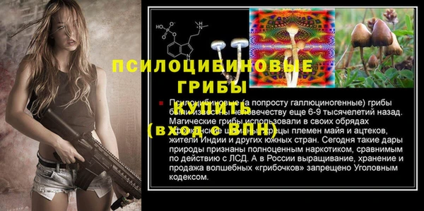 каннабис Богородицк