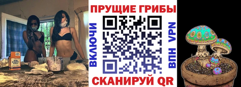 Галлюциногенные грибы ЛСД Рязань
